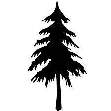 a black and white silhouette of a pine tree