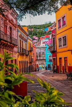 an empty street with colorful buildings and trees