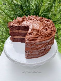 a chocolate cake on a white plate with a slice taken out of it and green plants in the background