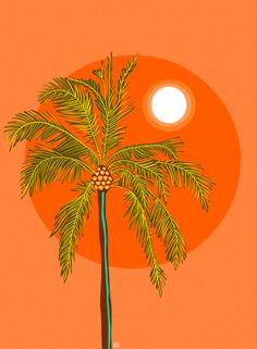 a palm tree in front of an orange sky with the sun shining down on it