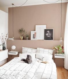 a cat laying on top of a bed in a bedroom