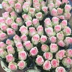 a bunch of pink and white roses are arranged in a basket for sale at a flower shop