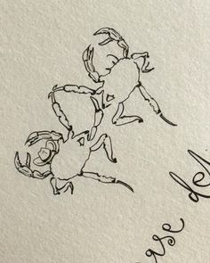 an ink drawing of two crabs on a piece of paper with the word love written in cursive writing