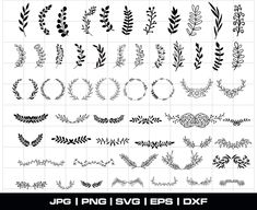 an image of various floral designs in black and white