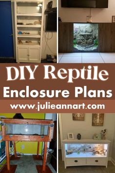 there are pictures of reptiles in the house with text overlay that reads diy reptile enclosure plans