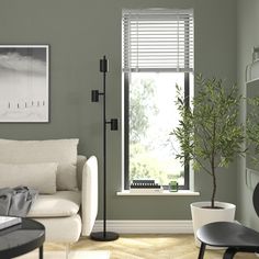 a living room filled with furniture and a potted plant in front of a window