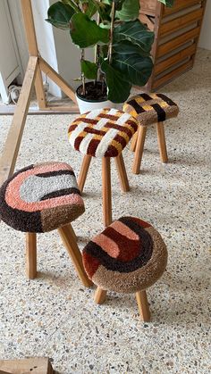 three small stools are sitting on the floor in front of a potted plant