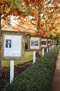 there are many framed pictures on the posts in this park lined with bushes and trees