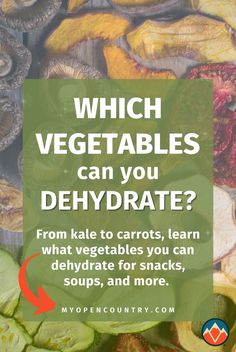 vegetables with text which vegetables can you dehydraate? from kale to carrots, learn what vegetables you can delygate for snacks, soups, and more