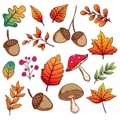 the autumn leaves and mushrooms are on display in this drawing style illustration, which is also available for use as an applique