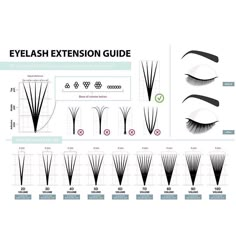 Eyelash Tips, Eyelash Technician, Eyelash Extension Supplies, Perfect Eyelashes, Volume Eyelash Extensions, Lash Extensions Styles, Silicone Makeup, Illustration Template