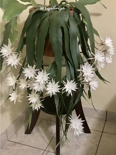 a potted plant sitting on top of a wooden stand next to a tiled floor