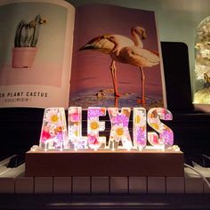 the letters are lit up with flowers and lights in front of an image of a flamingo