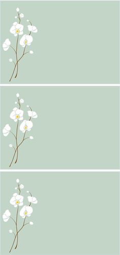 three white flowers on green background with two horizontals in the center and one at the bottom