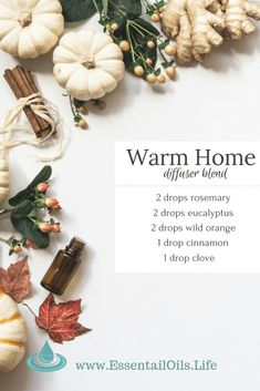 Diy Diffuser Blends, Home Diffuser, Plant Vegetables, Clove Essential Oil