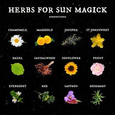 Peony Witchcraft, Larp Recipes, Sun Magick, Gargoyle Character, Solar Witch, Solar Magic, Latin Spells, Tarot Spells, Herbal Flowers