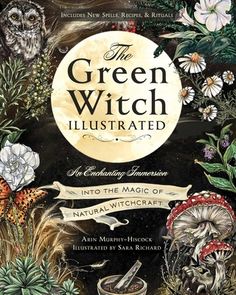 the green witch illustrated book cover