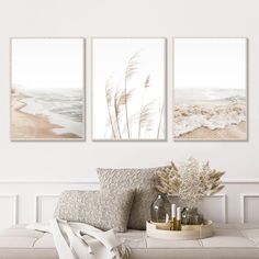 three paintings are hanging on the wall above a white couch and coffee table with flowers