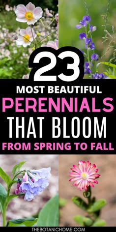 Four images of perennial flowers blooming in a flower garden. Text reads: 23 most beautiful perennials that bloom from spring to fall. Flowering Landscape Ideas, Spring Perennial Garden, Year Round Perennials Garden Design, Late Spring Blooming Perennials, Flower Gardens For Beginners Landscaping, Perennial Flower Garden Design Layout, Flowers Bloom All Summer, Colorful Perennial Garden, Plant Flowers For Beginners Front Yards