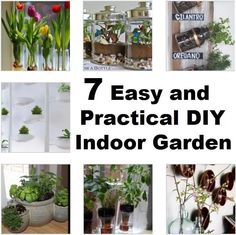 seven easy and practical diy indoor garden projects