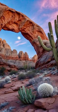 an arch in the desert with cactus and rocks