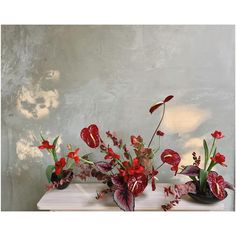 two vases filled with red flowers sitting on top of a white table next to a wall