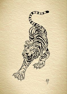 an ink drawing of a tiger running