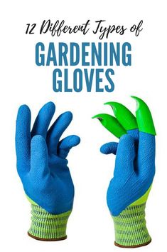 blue gloves with green plants in them and the words 12 different types of gardening gloves