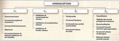 a diagram showing the different types of ademcoptions and how they are used