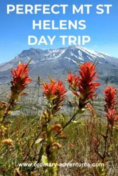 the words perfect mt st helen's day trip are overlaid by red flowers