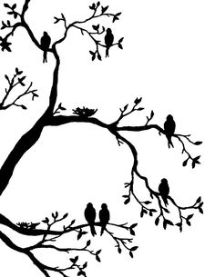 two birds sitting on the branches of a tree