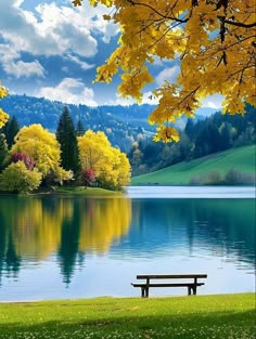 a bench sitting on top of a lush green field next to a lake