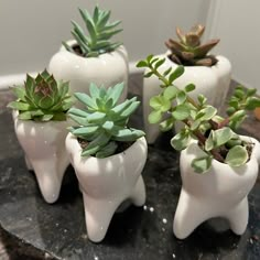 Molar Vase, Dental Molar Vase, Dental Tooth Vase, Molar Tooth, Dentist Gift, Desk Decor, Home Decor, Office Decor Order today one of our white molar planters to put a smile on any dental team member's face. Listing is for one planter. Can place it in your dental op, waiting room area, or keep it at home to remind you how much you love dentistry! The molar has three roots. This is for 1 vase No drainage hole on the bottom. Mini Molar Vases are just the right size for pens, brushes, or plants. We Dental Interior Design, Dental Office Aesthetic, Dental Room Organization, Cute Dental Office, Dental Hygiene Room Decor, Dentist Office Decor, Teeth Whiting Room Decor, Dentist Decor, Dental Room Decor