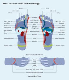 Foot reflexology is an ancient traditional Chinese technique that involves using pressure points on the soles of the feet to activate other corresponding areas of the body. Learn more. Accupressure Point, Foot Pressure Points, Reflexology Socks, Massage Therapist Gifts