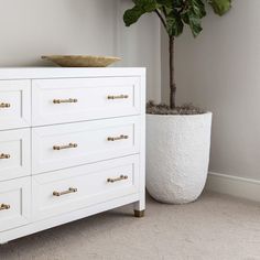 a potted plant sitting on top of a white dresser