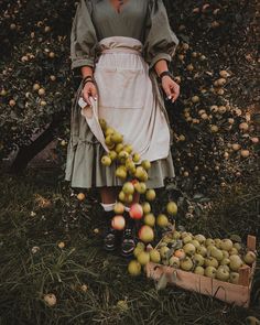 a woman standing in front of an apple tree with lots of apples on the ground