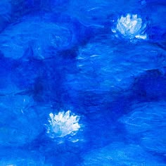 water lilies floating on top of a blue pond