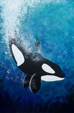 an orca swimming in the ocean with blue water