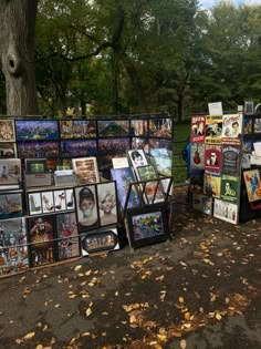 there are many pictures on display in the park with trees behind them and fallen leaves covering the ground