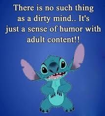 there is no such thing as a dirty mind it's just a sense of humor with adult content