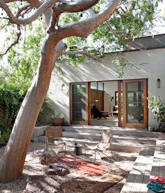 a house with a large tree in front of it and some chairs on the patio