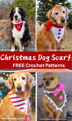 christmas dog scarfs free crochet patterns for dogs and their owners to make