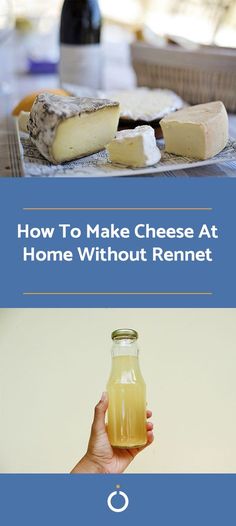 how to make cheese at home without rennet