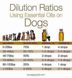 Essential Oils Dogs, Essential Oil Carrier Oils, Yl Oils, Oil Remedies, Oils For Dogs, Yl Essential Oils, Forever Friends, Bug Spray, Young Living Oils