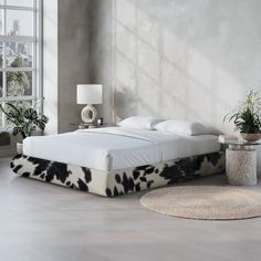 a white bed with black spots on it in a room next to a large window