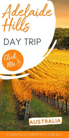 Adelaide Day Trips Safari Park, Wildlife Park, Wildlife Sanctuary, Family Friendly Activities, Camping Spots