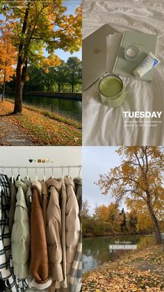 there is a collage of pictures with trees and clothes