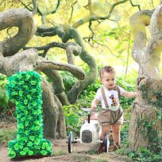 a little boy riding a tricycle in the woods with green decorations on it's sides