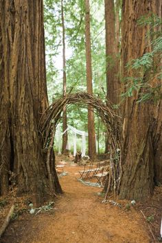 an arch made out of branches in the middle of a forest with lots of trees around it