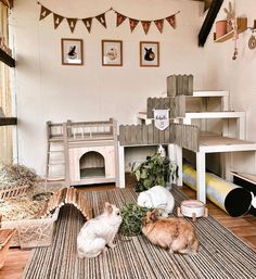 two cats are sitting on the floor in front of a cat house and other furniture